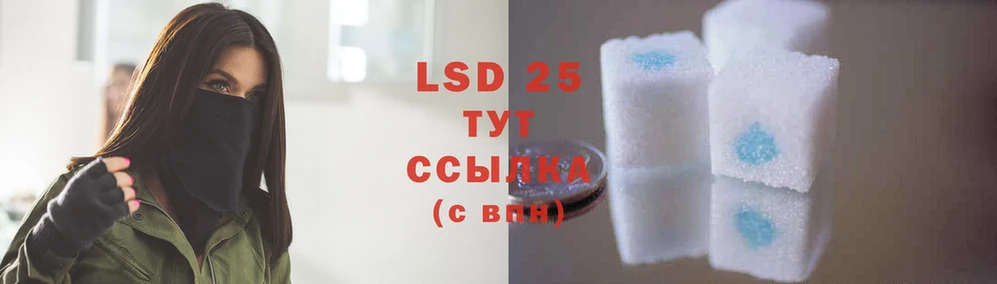 LSD-25 экстази кислота  купить  цена  Олонец 