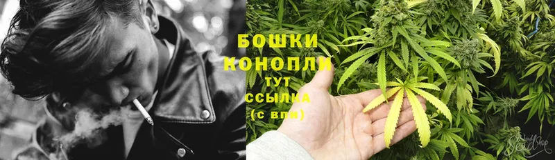 Бошки Шишки Ganja  Олонец 